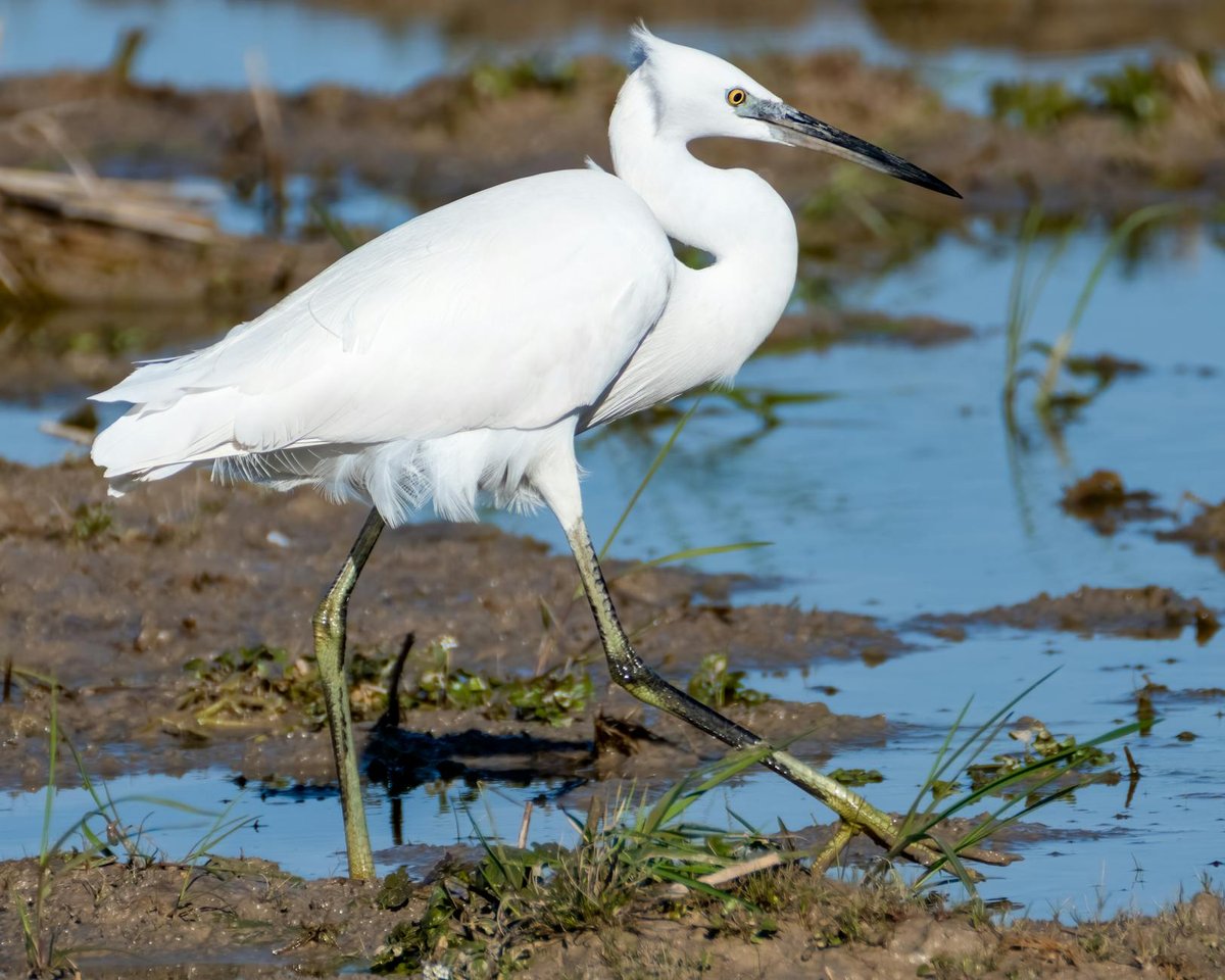 El Palmar National Park
