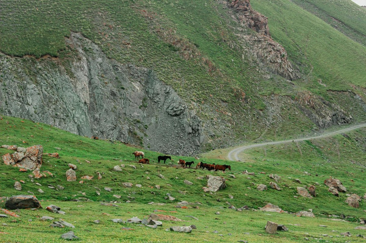 Benham Plateau