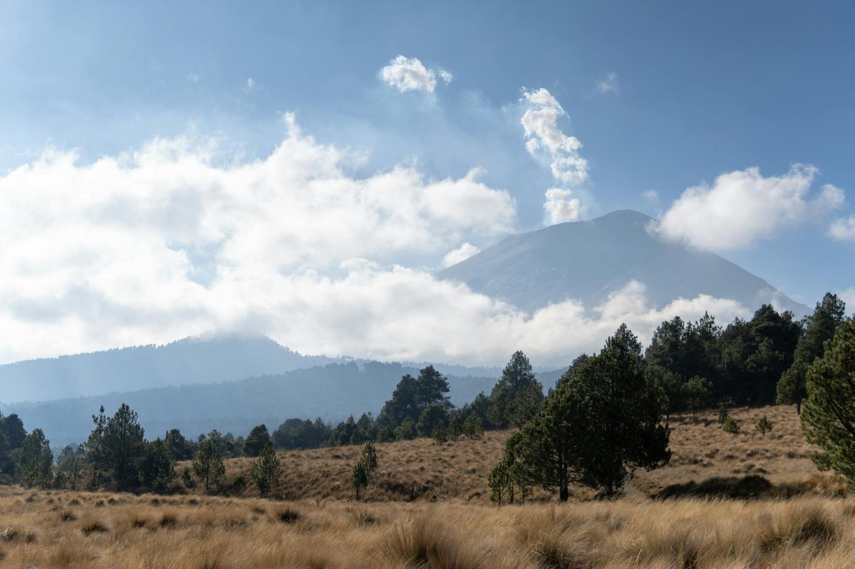 Naolinco Volcanic Field