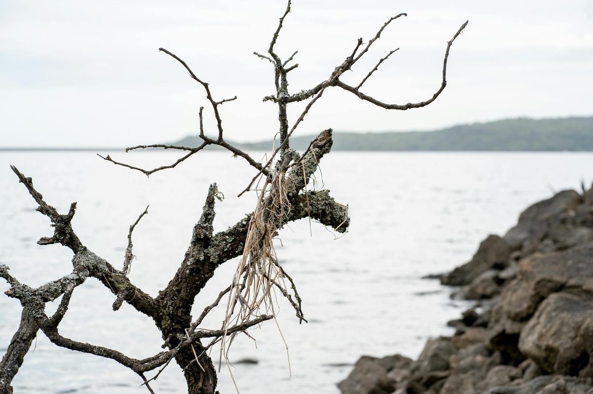 Dried Lake Agoulinitsa