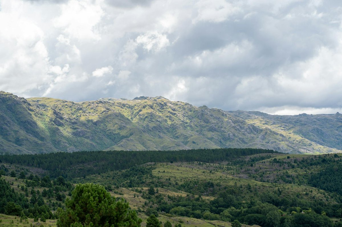 Melincué scenic viewpoint