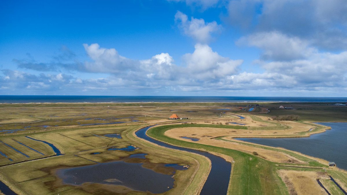 Beach Ameland