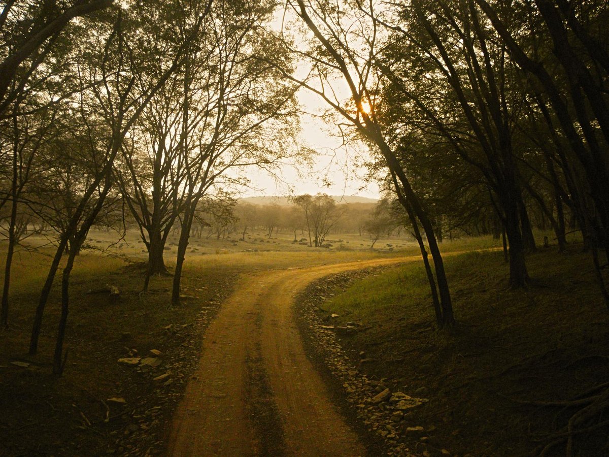 Ranthambore National Park