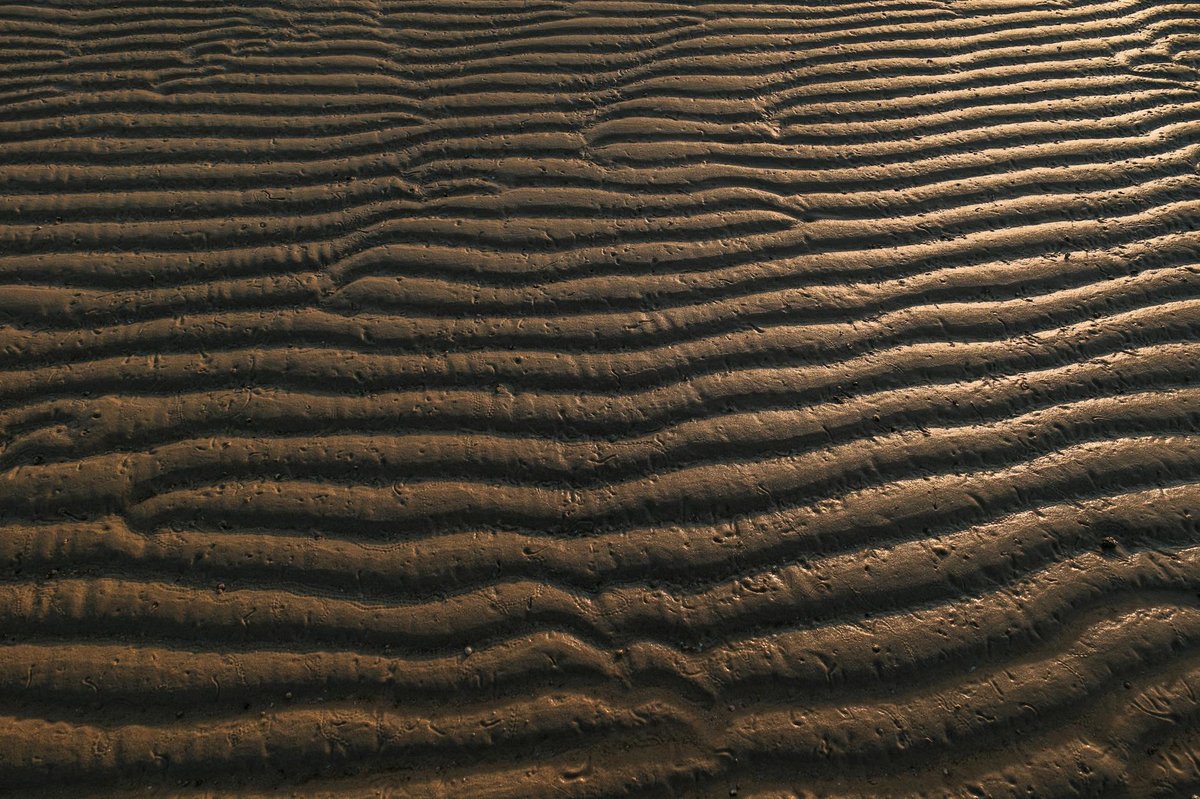 Sandagerði