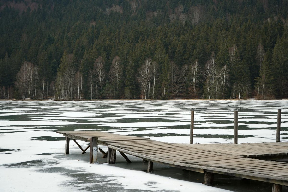 Lake Wood