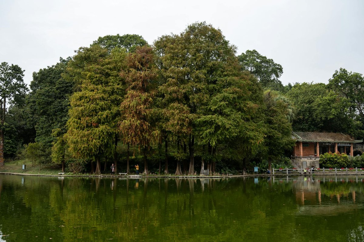 Xishan Forest Park
