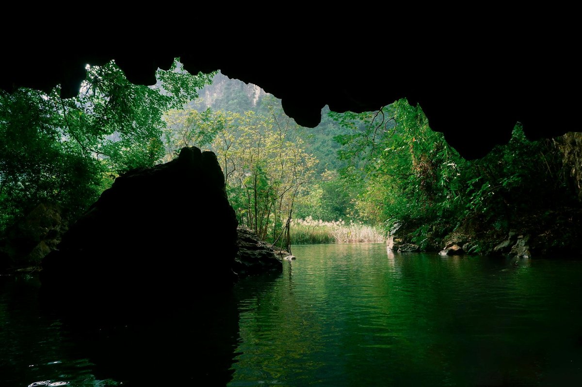 Phong Nha Cave