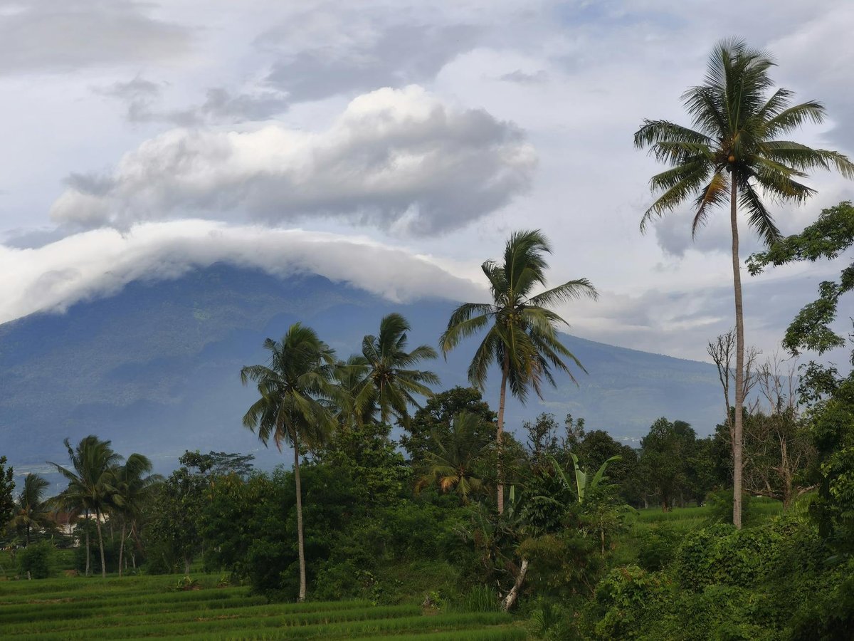 Mount Gede