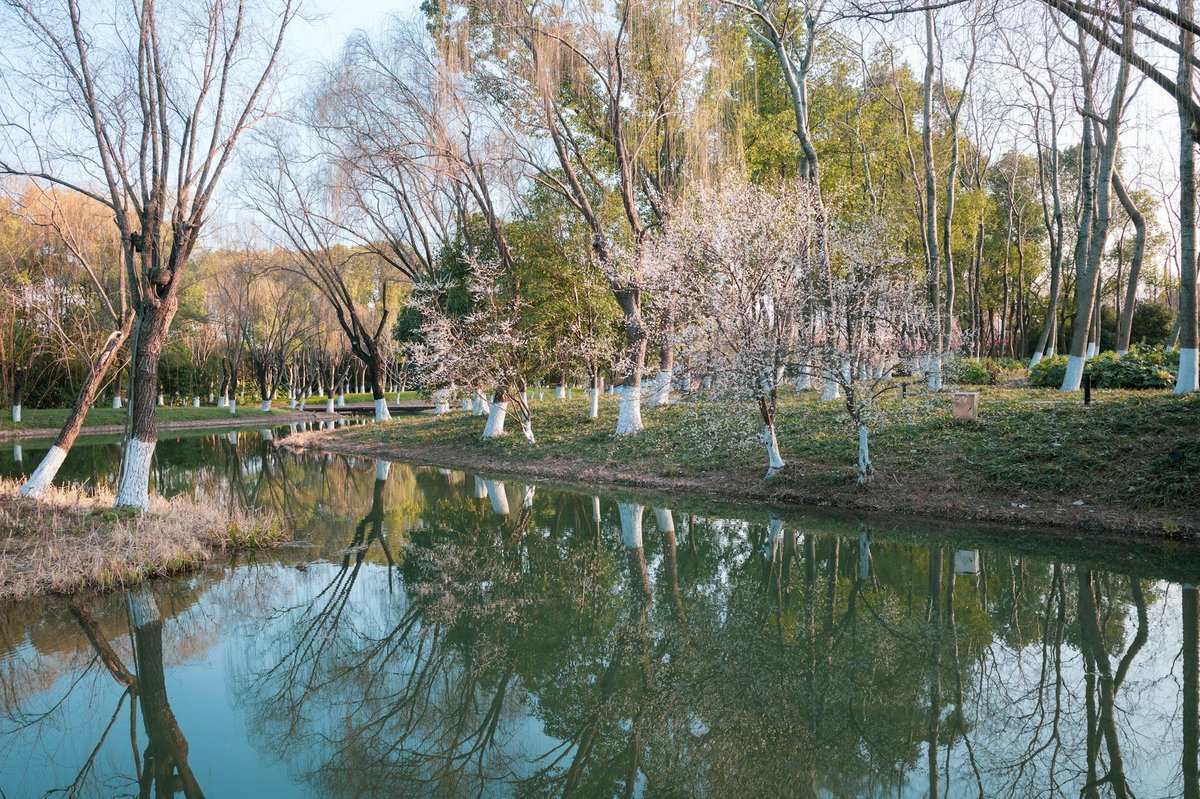 Boggy Pond Lagoon