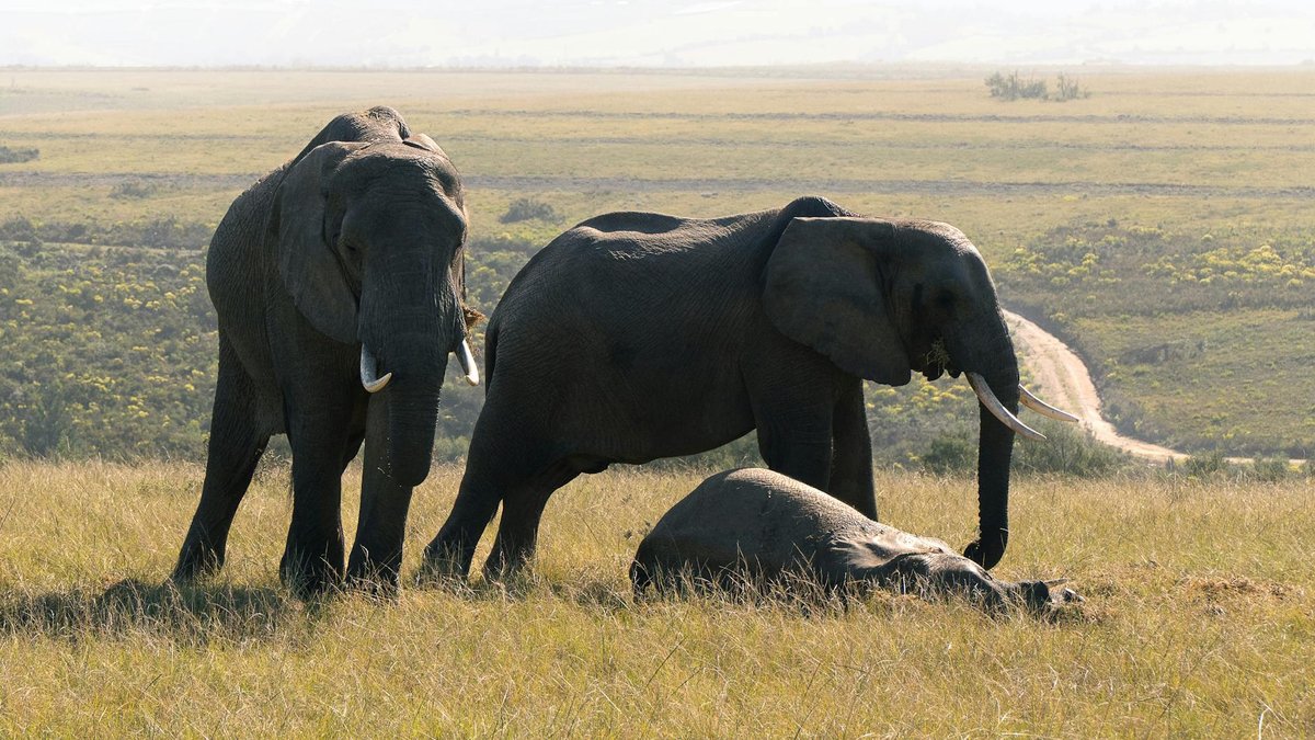 Elephant's Eye Cave