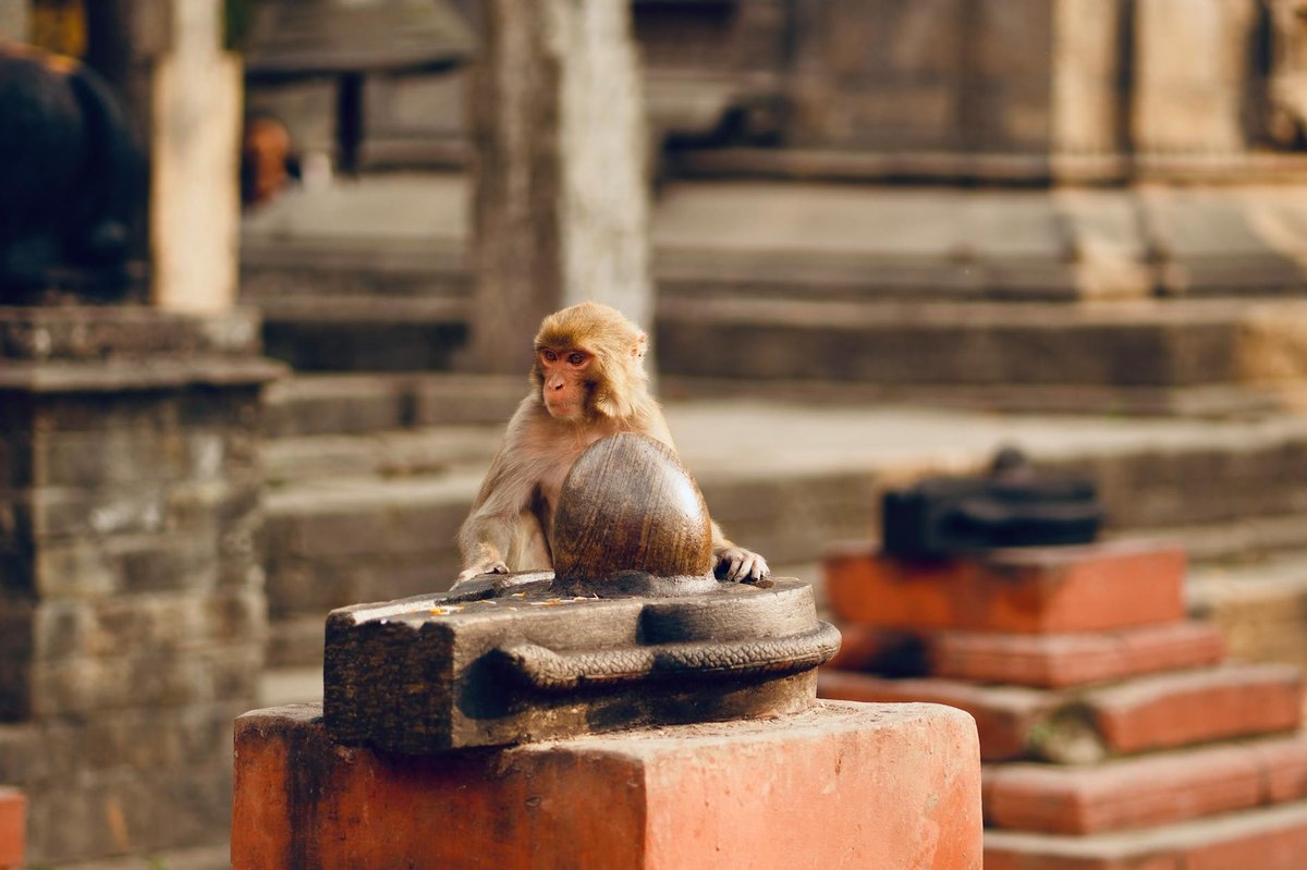 Alam Devi Temple