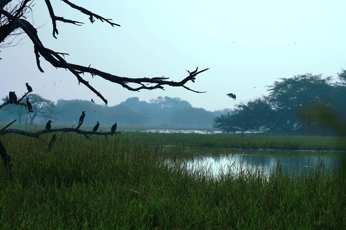Gudal lake