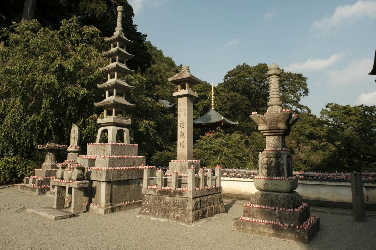 Chinoike