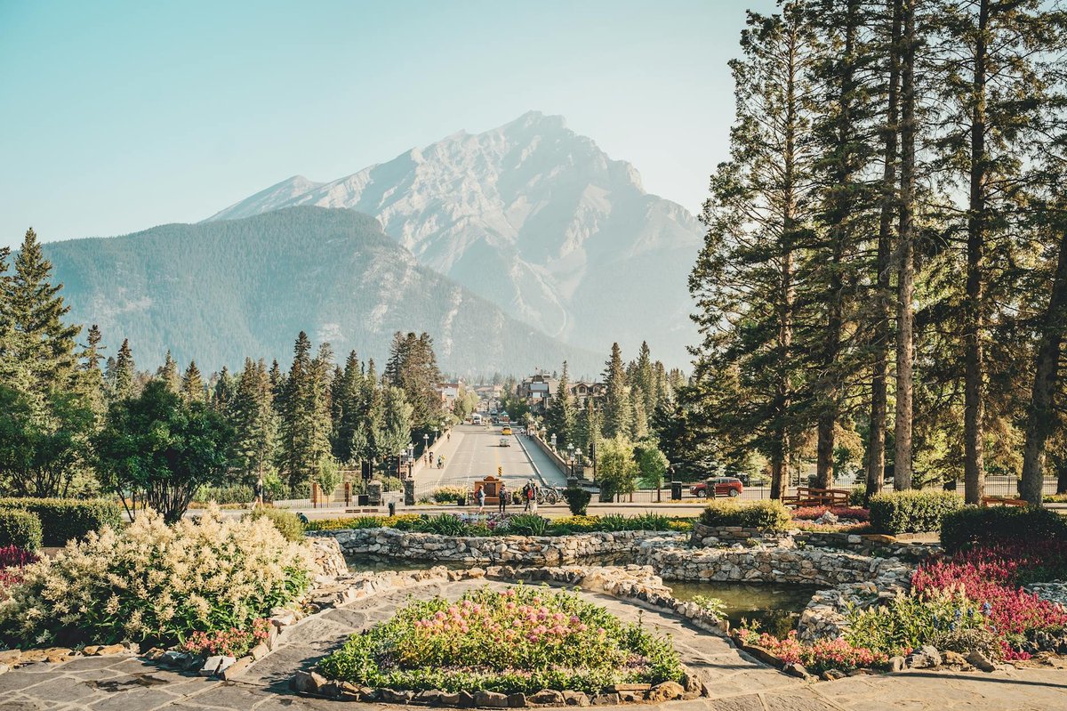 Avenue of Disappearing Mountain