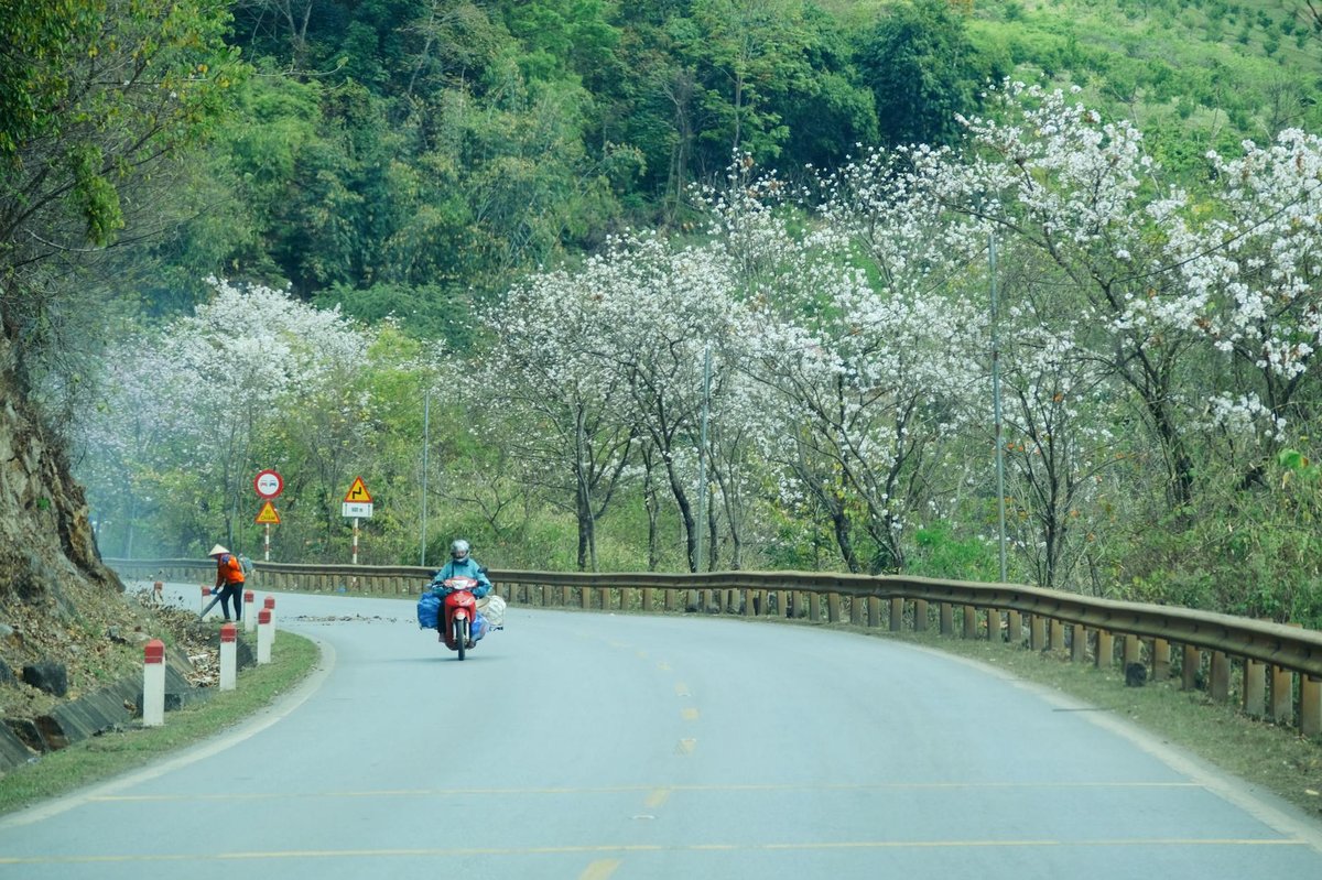 Hoang Lien National Park