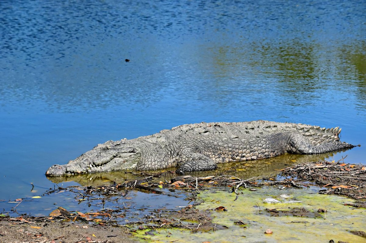 Arrecife de Puerto Morelos National Park