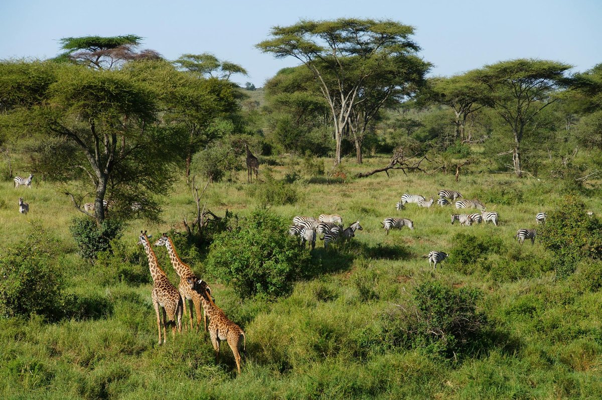 Chandoli National Park