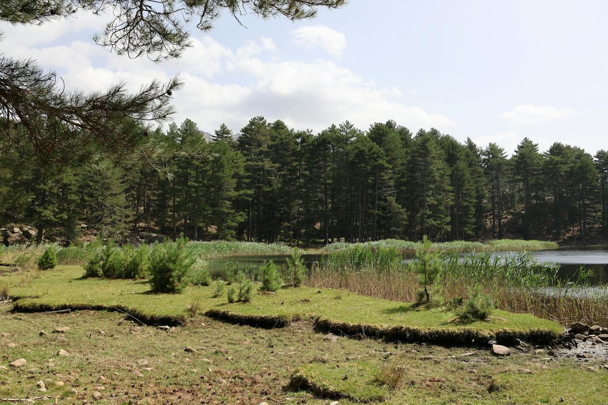 Danau Ayot