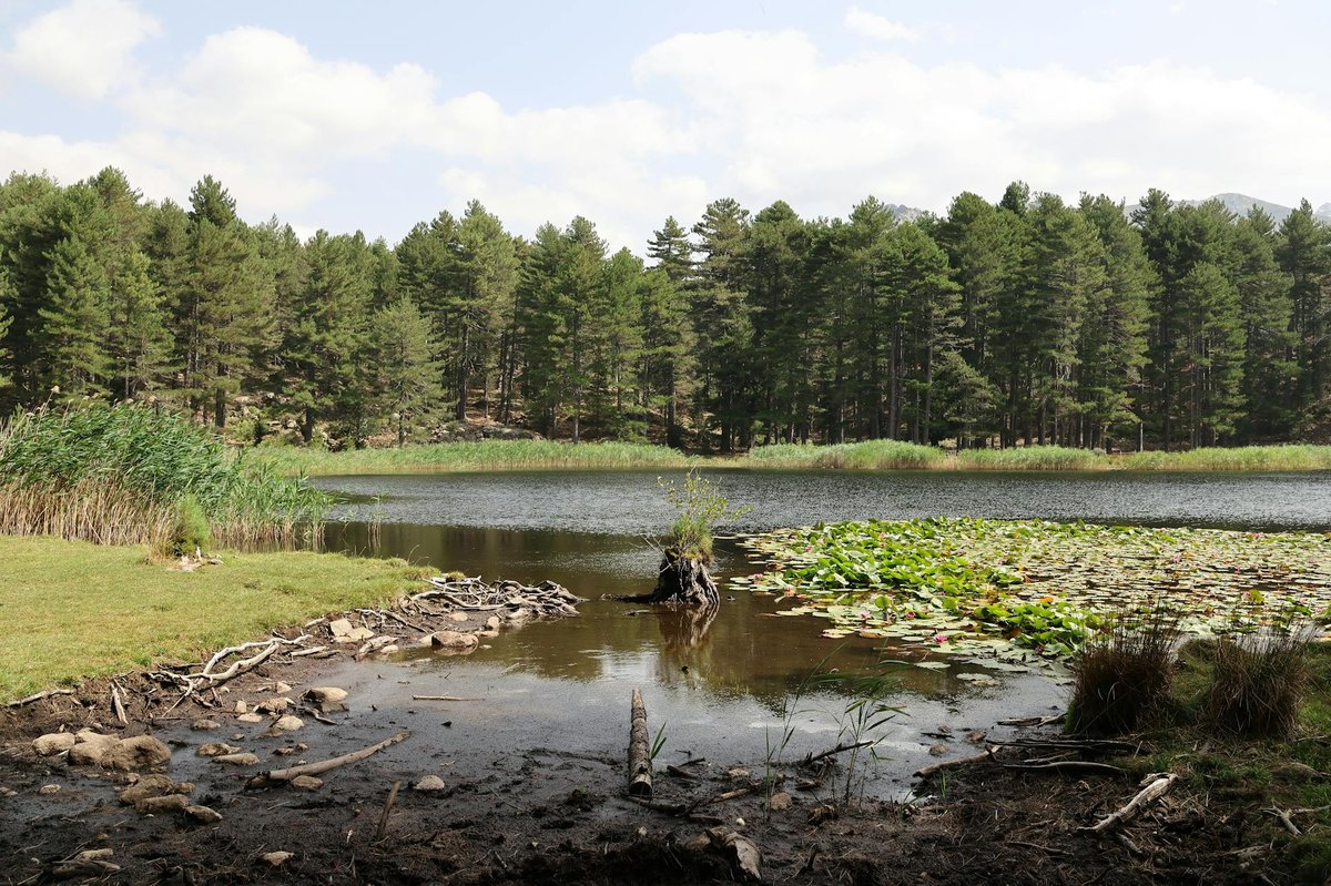 Brittas Pond