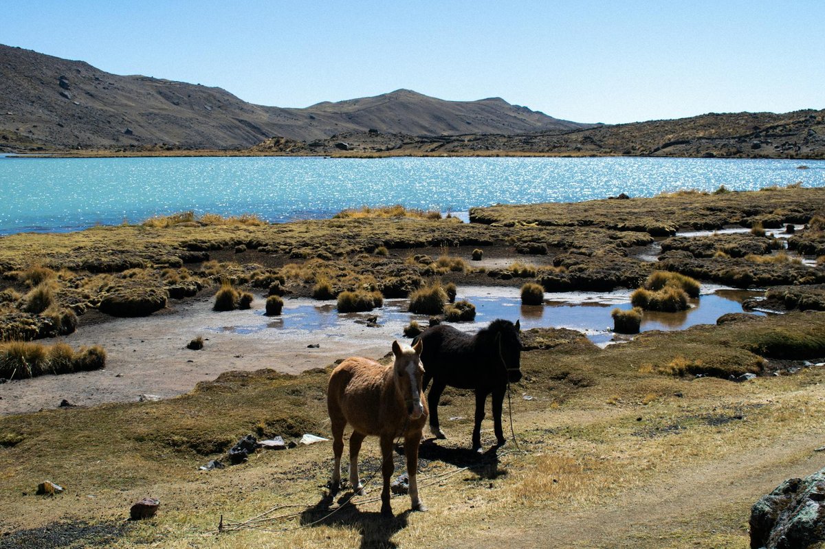 Juhuacocha Lake