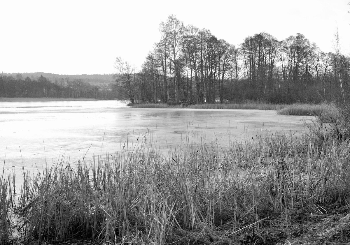 Bocks Lough