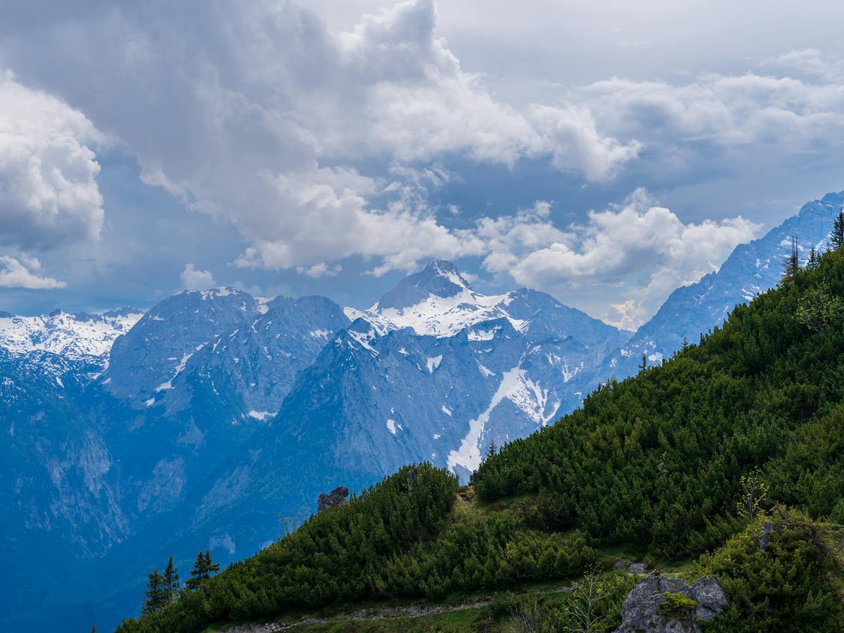 Panoraama