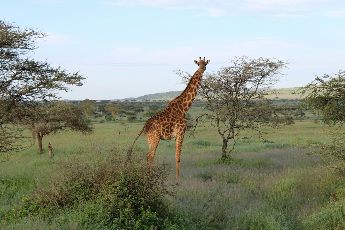 Wasur National Park