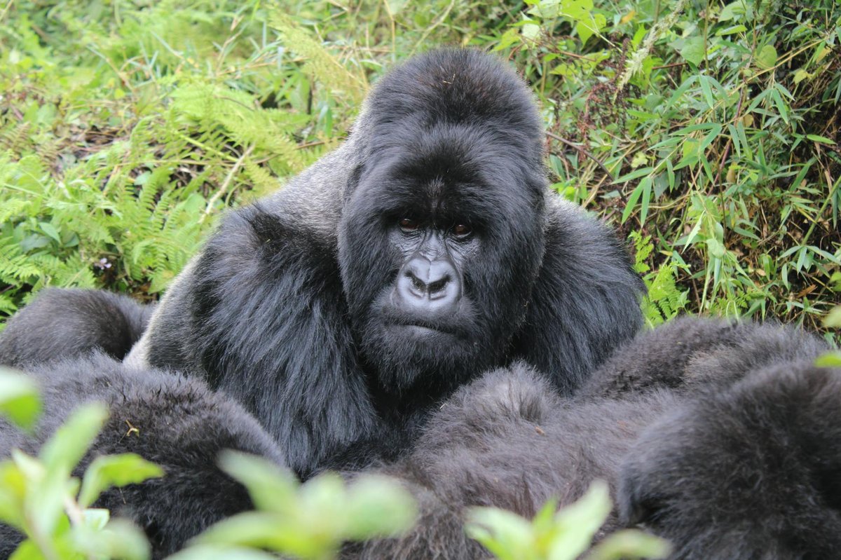 Kayan Mentarang National Park