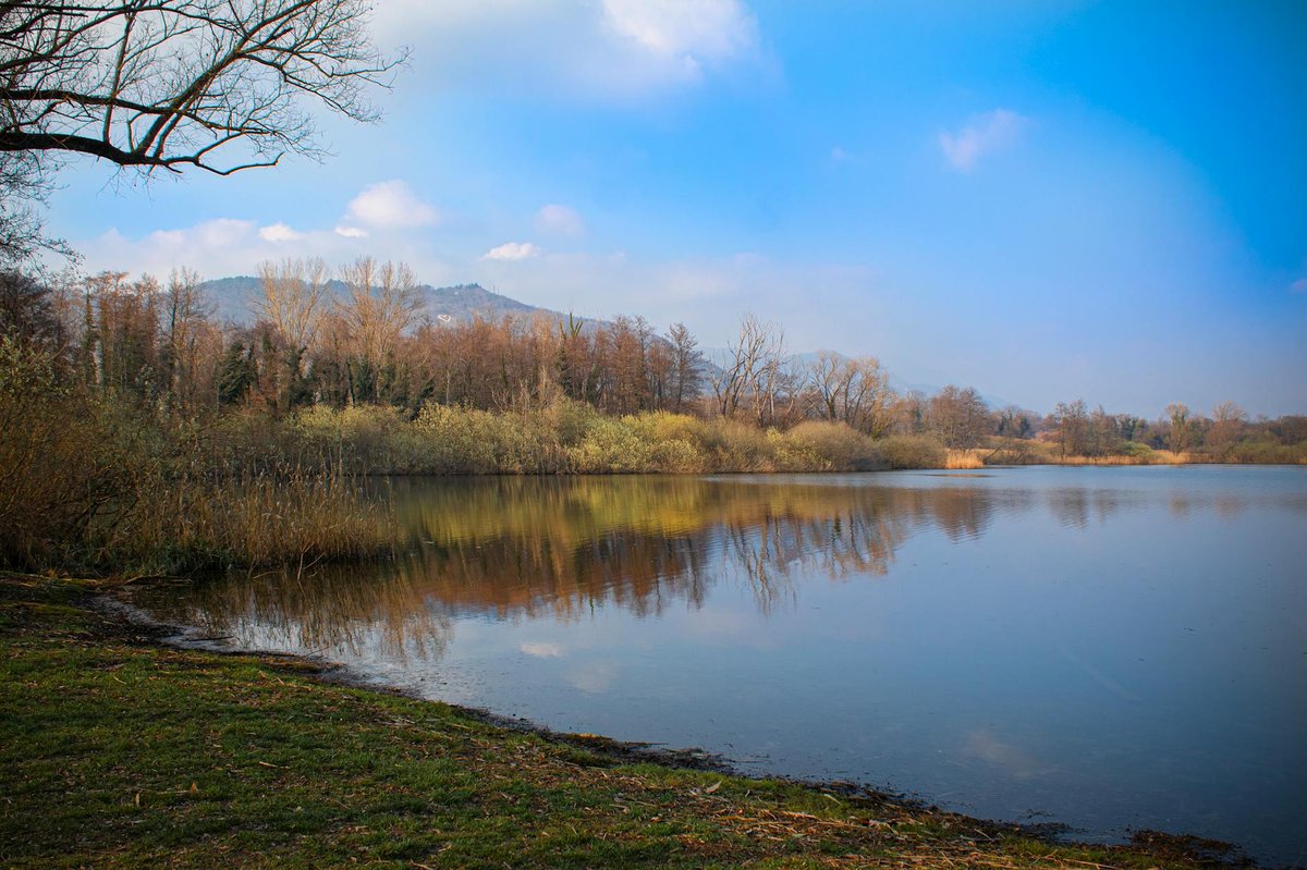 Bacino di Pavana