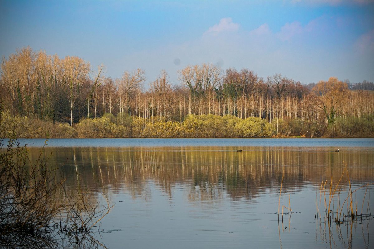 Fineilsee