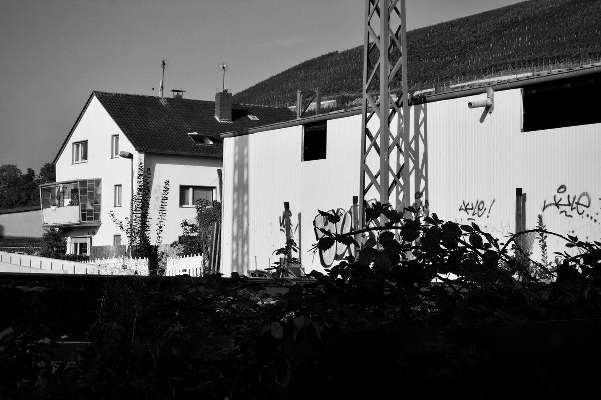 Grosskopf