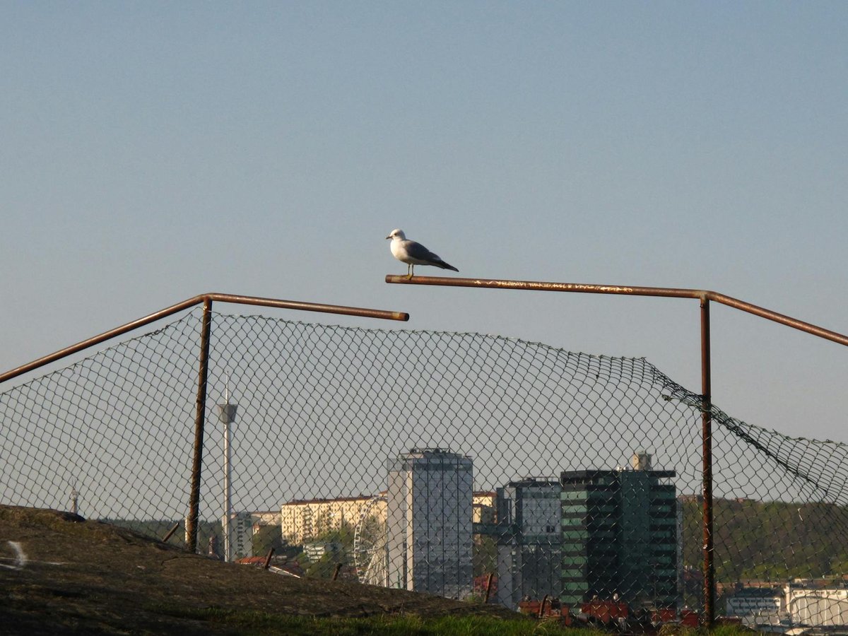 Cekdam Kalikajar
