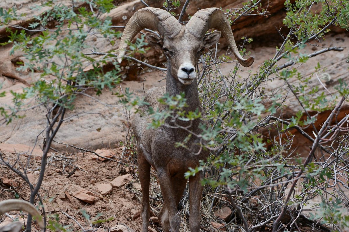 Samaria National Park