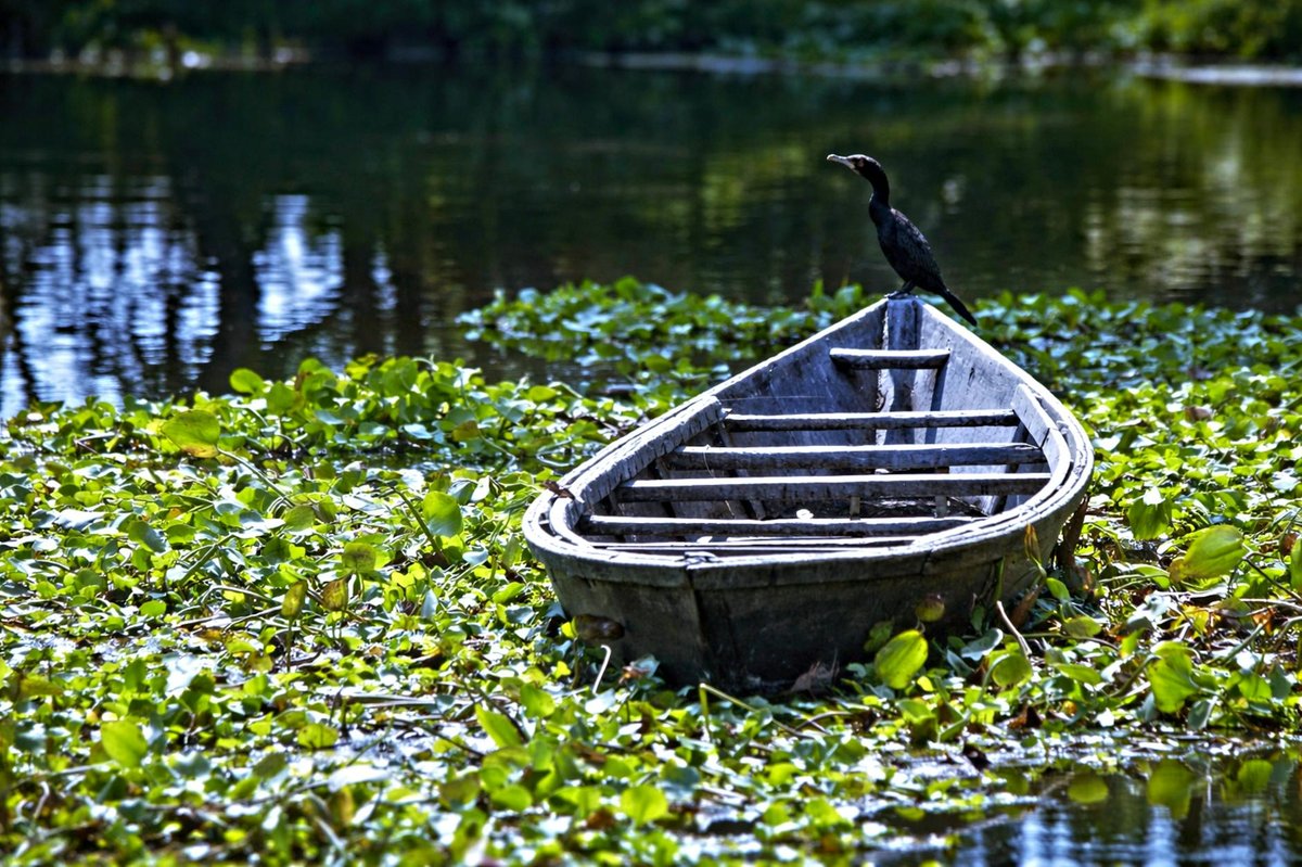 Lake Xochimilco