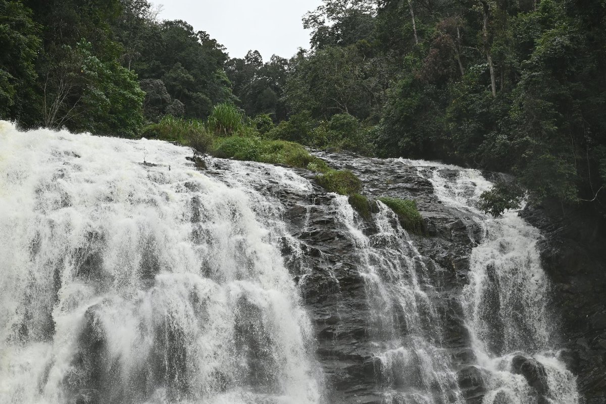 Abbey Falls