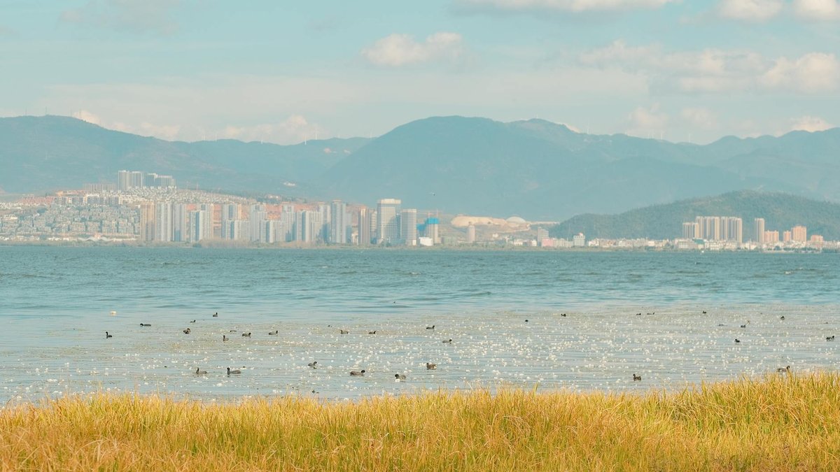 Laguna de Bay