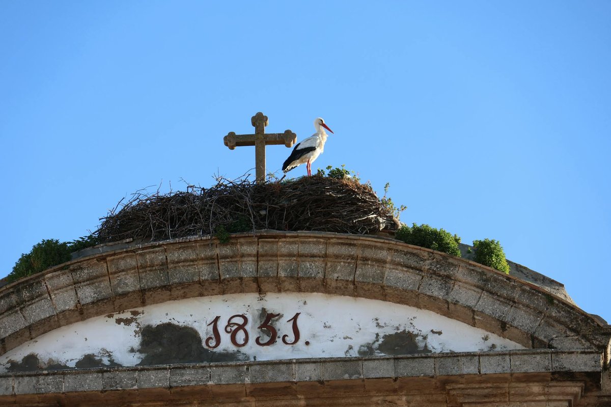 Cerro El Puerto