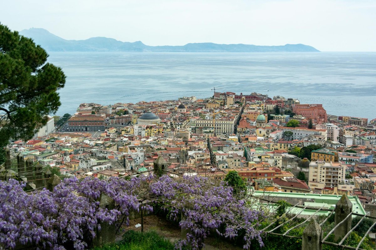 Belvedere Castelli Francesco