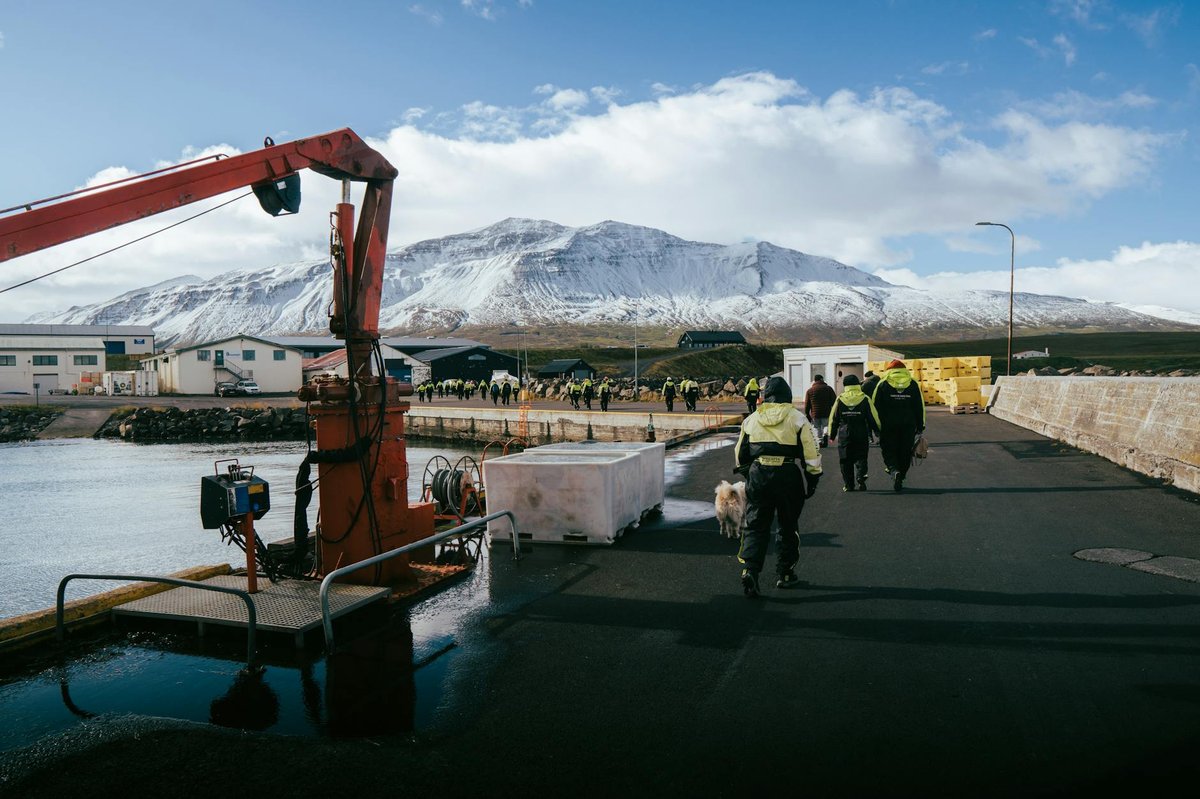 Barkárdalsjökull