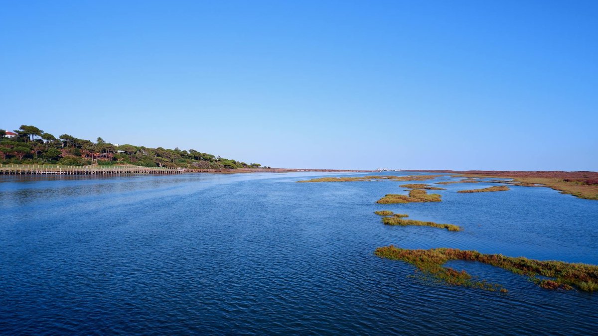 Deadwood Lagoon