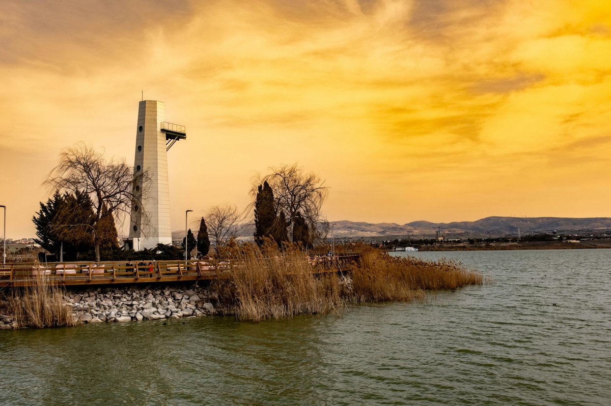 Lake Lysimachia