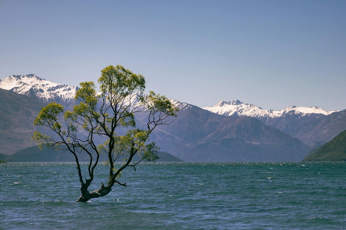 Douglas Lake