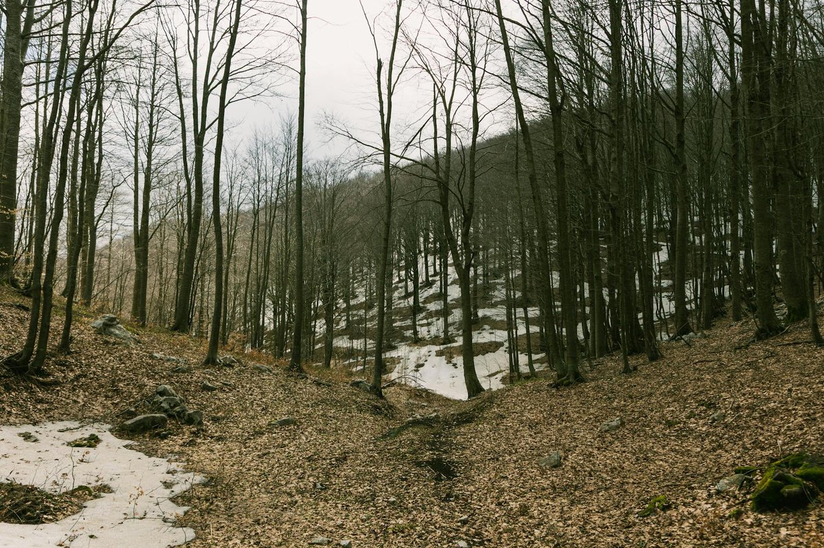 Matese National Park