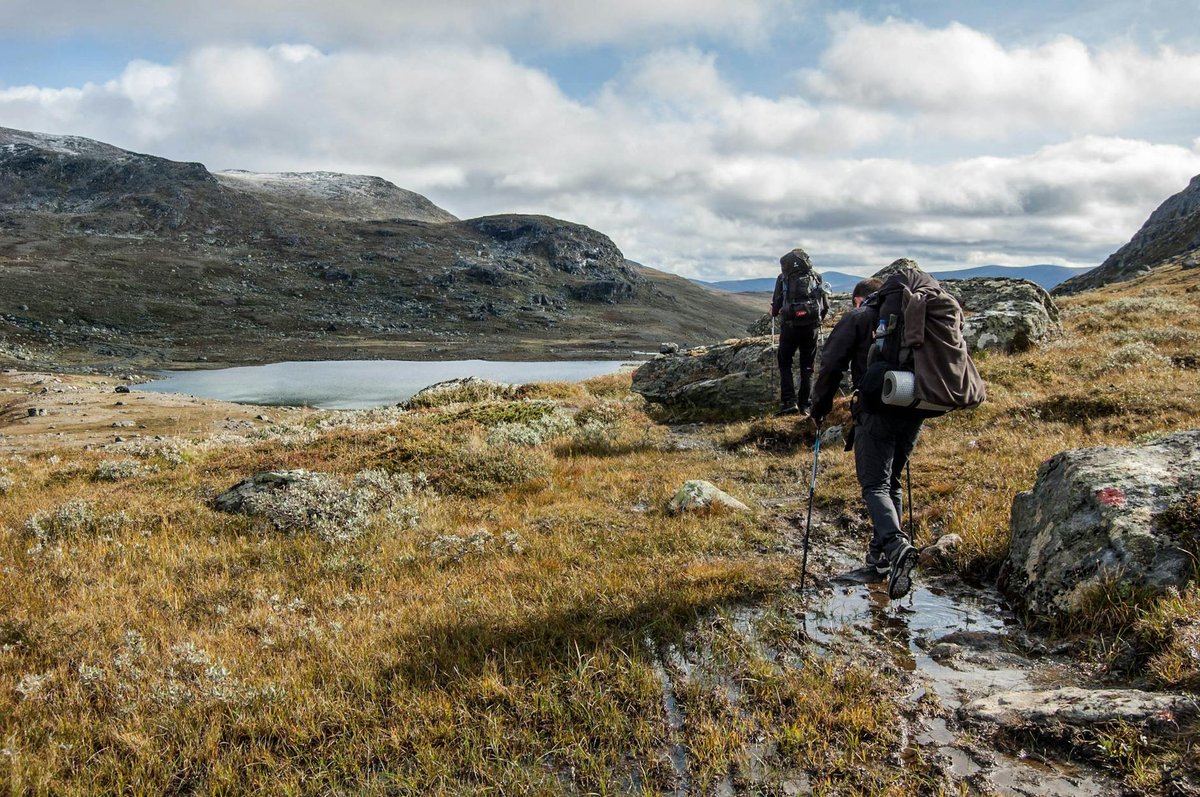 Stampeström fall