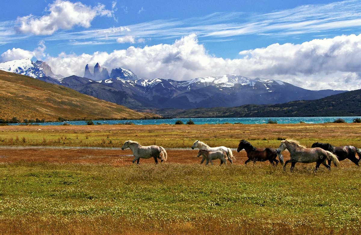 Salto Paine