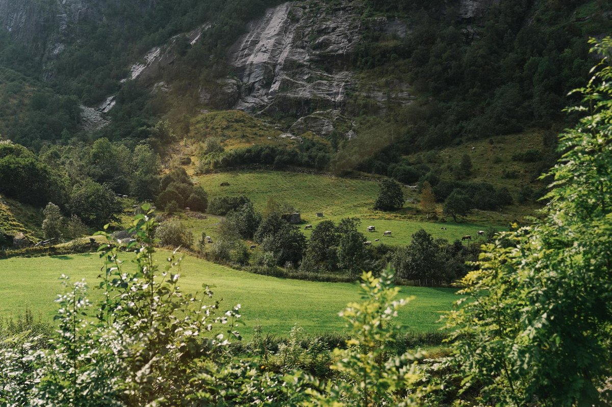 Austdalsbreen