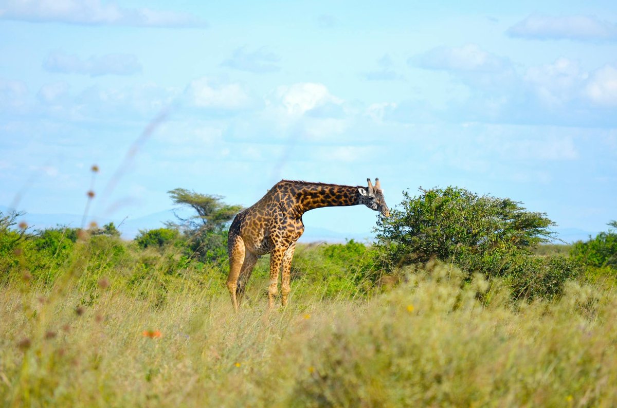 Valmiki National Park