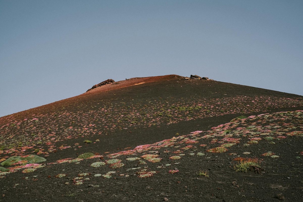 Arizaro volcanic field