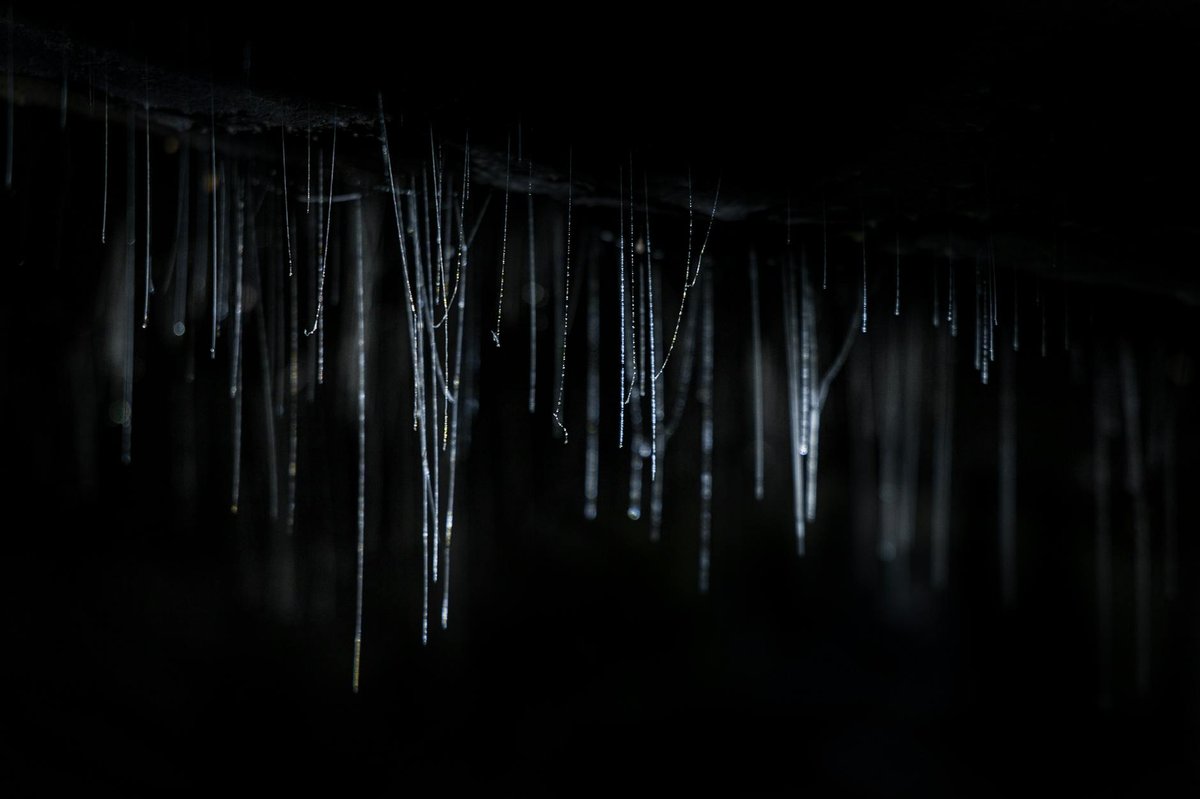 Ellis Basin cave system