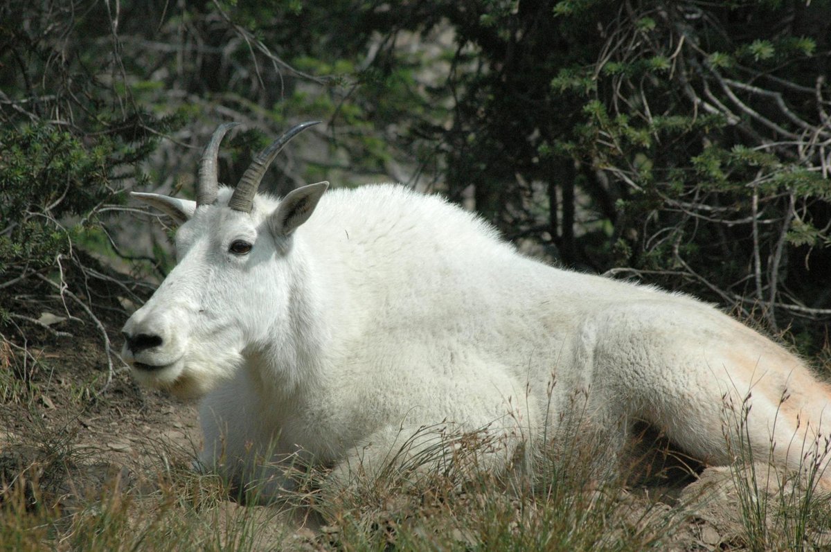 North Pindos National Park